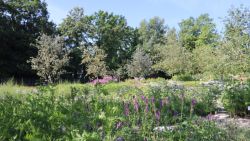 Sandbeet
©Universität Regensburg