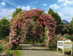 Rosenbogen
©Europa-Rosarium Sangerhausen